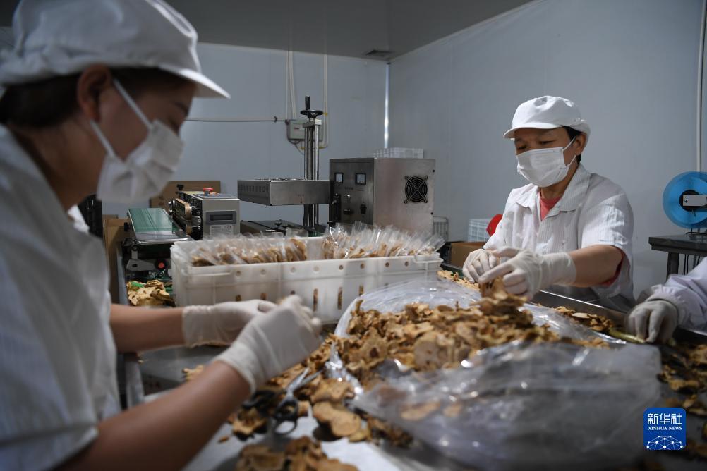 天發娱乐